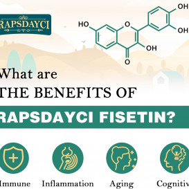 Liposominis Fisetinas ir Kvercetinas – 60 minkštųjų kapsulių (1000 mg fisetino, 200 mg kvercetino), pagerintas įsisavinimas